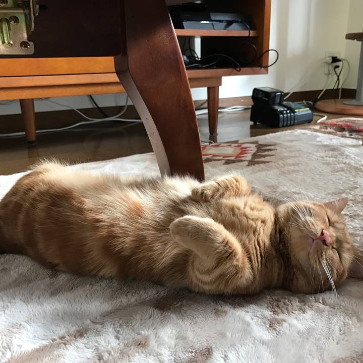 5a41011c 4c73 4370 aaa6 cfd3f0f10d23 1520476624620