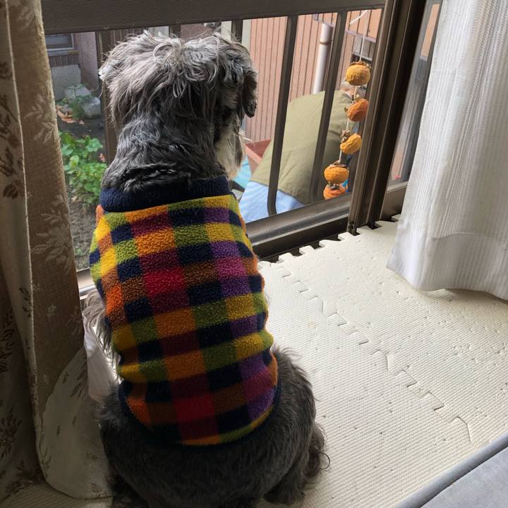 5a411403 739b 46ee 9be7 aee9d17de4f7 1605927301425