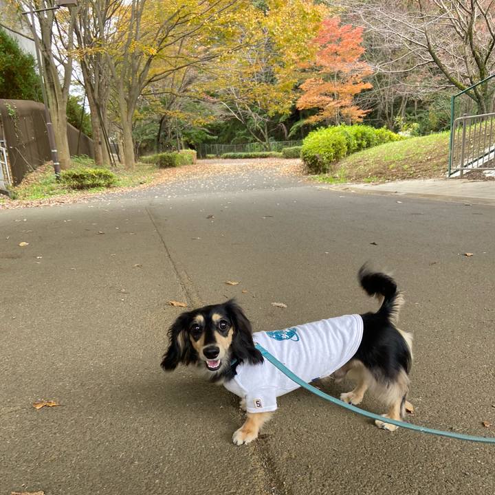 5a413f4f bcdb 4d27 bf84 e351ed3d4d2e 1731572837894