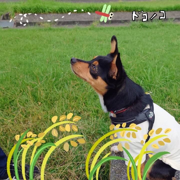 5a415abf 1aa7 49e9 85de c3c3ac8c6ead 1761182789818