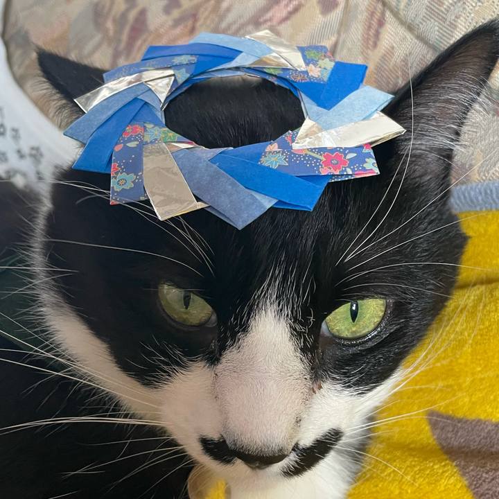 5a417843 bac3 41b8 8c08 c2d21079b516 1735879226866