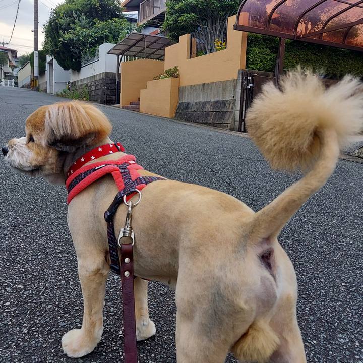 5a417892 0940 4fb6 8928 2098c2b1071d 1657536884573