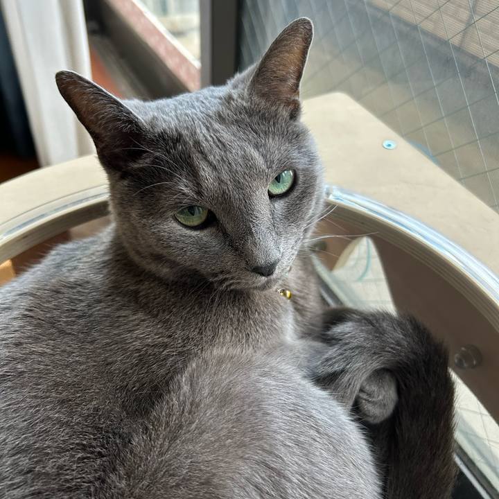 5a417db4 ec58 4cf2 95ad e249deb77d6c 1721433356449