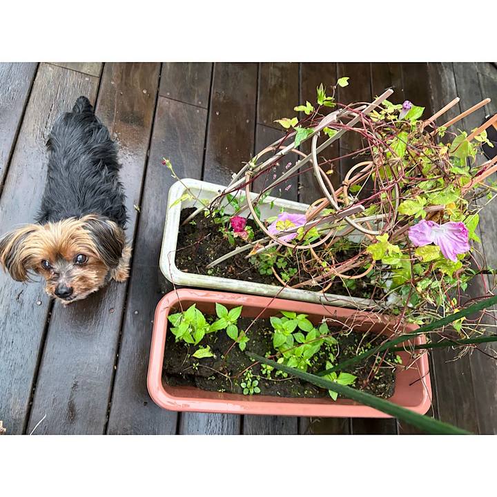 5a41a3b1 f361 4a7c a7c5 23bf24f7fc37 1729807807982