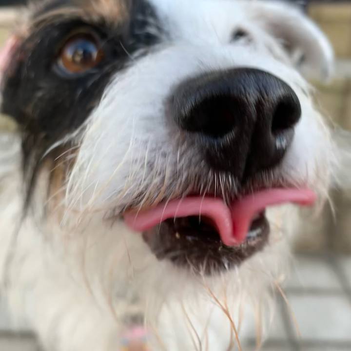 5a41b961 bec8 40e2 bcc9 3441169be2dc 1662970930655