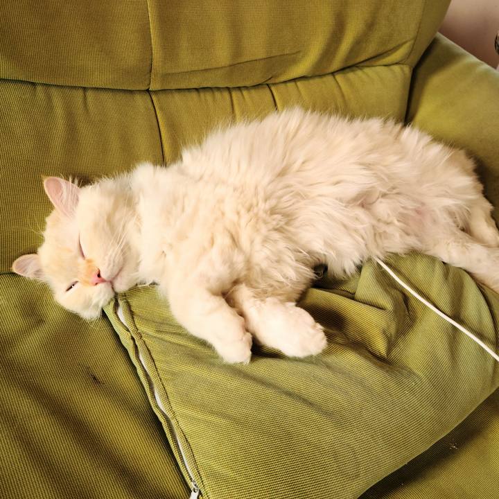 5a41d6ab e979 4401 8d8d 83d7407fefc3 1683869141877