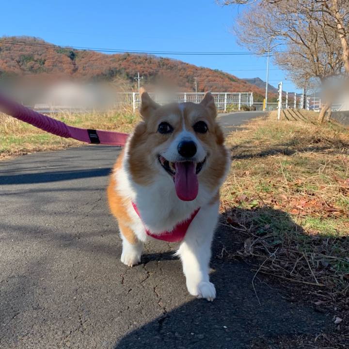 5a422fba 8570 4afb 98b2 f2f278b40c5d 1702520910521