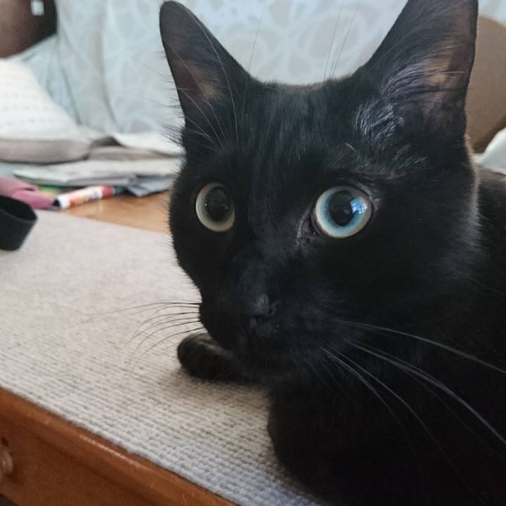 5a424a0a 2a95 49b9 8df2 912a843e7645 1600747447758