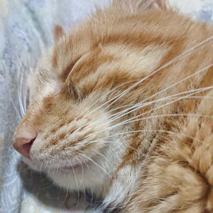 5a42645c 6c19 433d 985a 1ecfd0d0a7c5 1654434207707