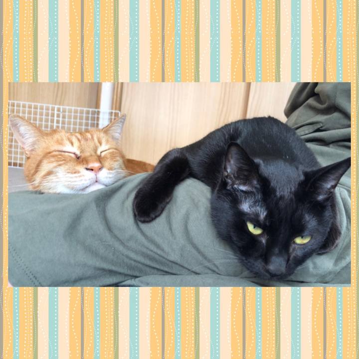 5a4264d5 d0a7 4811 9f41 43972658c159 1679798088525