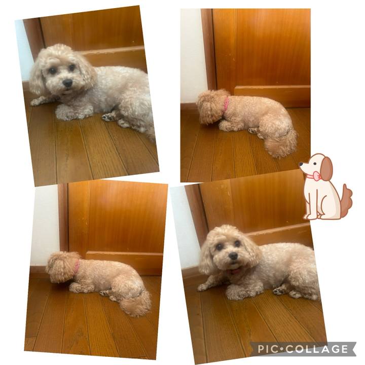 5a426686 43bd 400a 9214 a23e1687885a 1721005165963