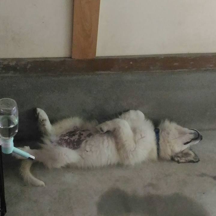 5a428bd1 5565 4be1 a03d 03ba012728d3 1529111639844