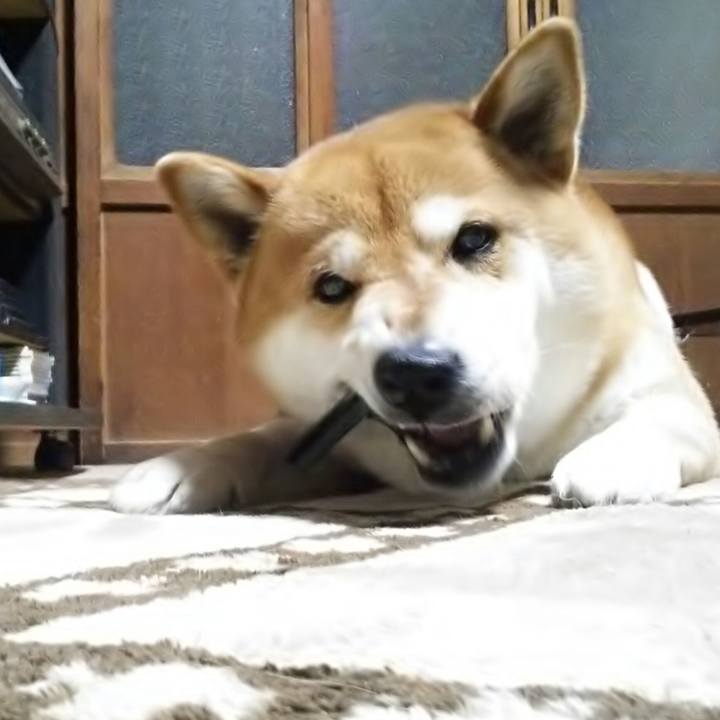 5a428c32 ea98 431d baf5 ad3e9844c1d9 1523102622503