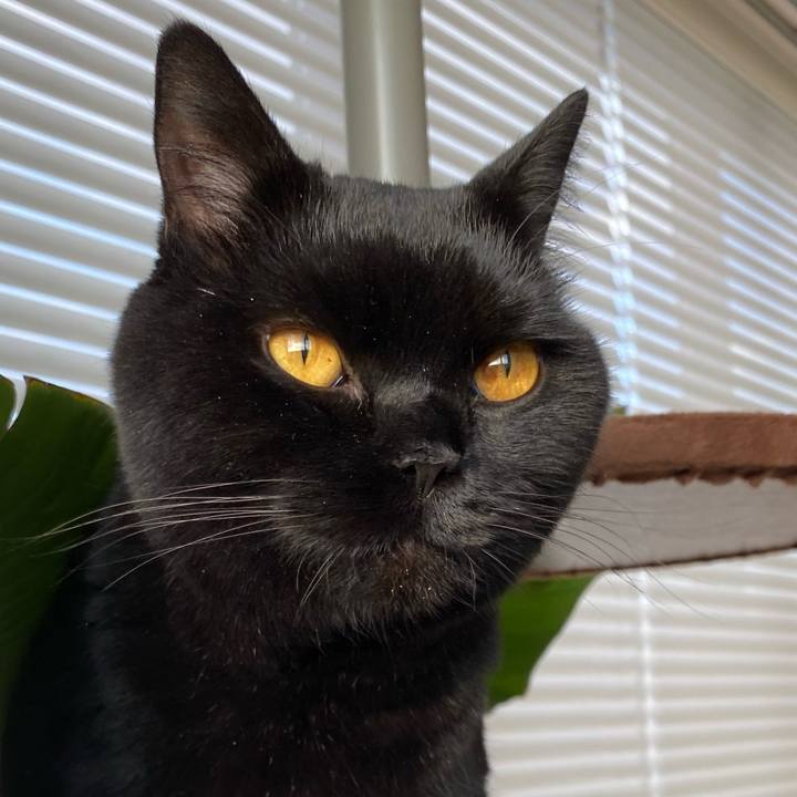 5a42dcc9 da82 44c5 87ea 4d4ffd438c72 1638428114512