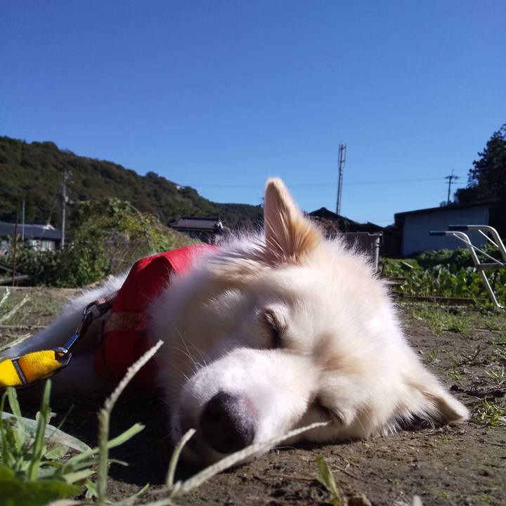 5a42e26a e05a 4073 916d 1314777c107f 1572919127626