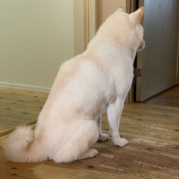 5a430583 720e 4417 9aa2 da659a394f9d 1601362738795