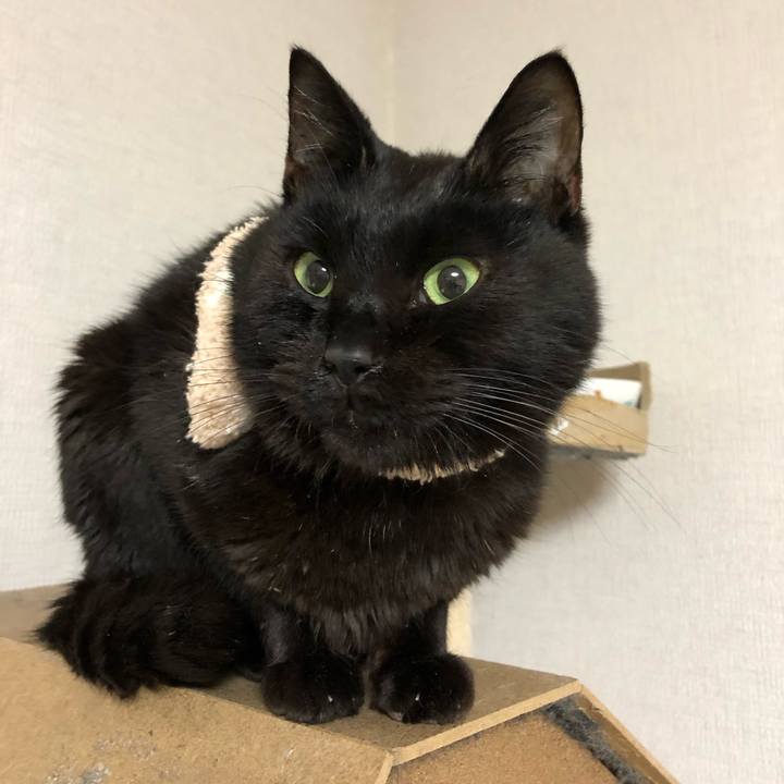 5a43211d 75f4 4319 9ab1 ac3b91e14434 1554724694494