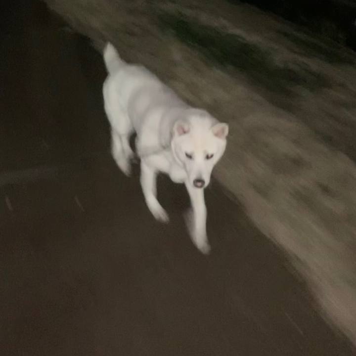 5a433678 58af 4a87 b1e9 8f59111489b5 1546515389995