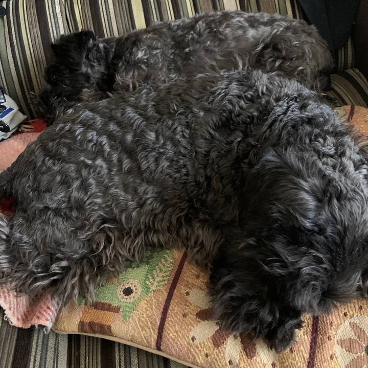 5a437829 5d5a 480b b07a af2ff37f35de 1615694141003