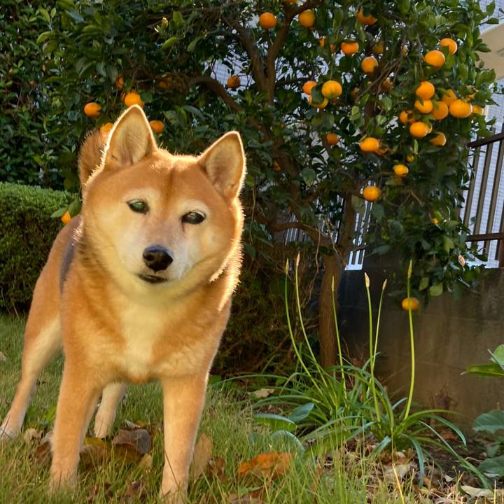 5a437b0f 1467 47a5 9420 d95bb1b592be 1636598057806