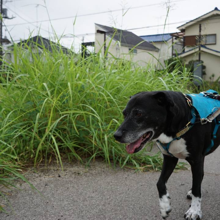 5a43b7fe d983 4651 9bee 39592366a7e3 1756944650767