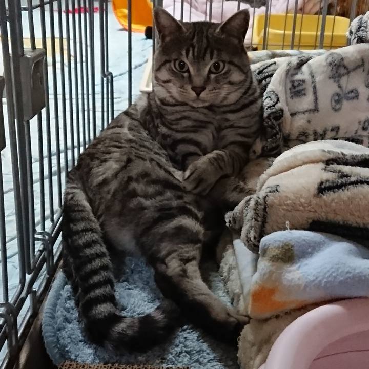 5a43becf 6f9c 4b46 86cc 5df831f35c10 1575211002810