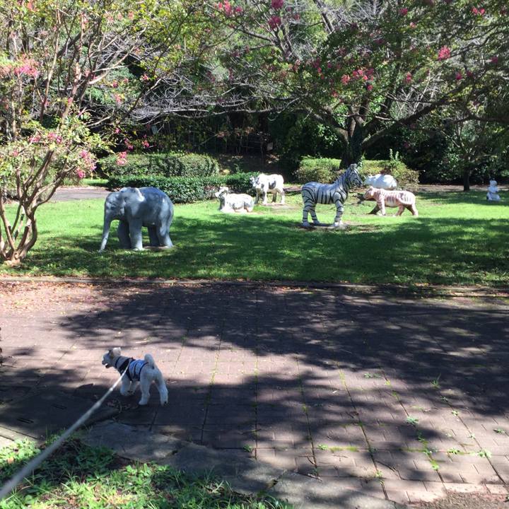 5a43c6e2 9237 4aa1 ba11 6008be662ecc 1538119155891