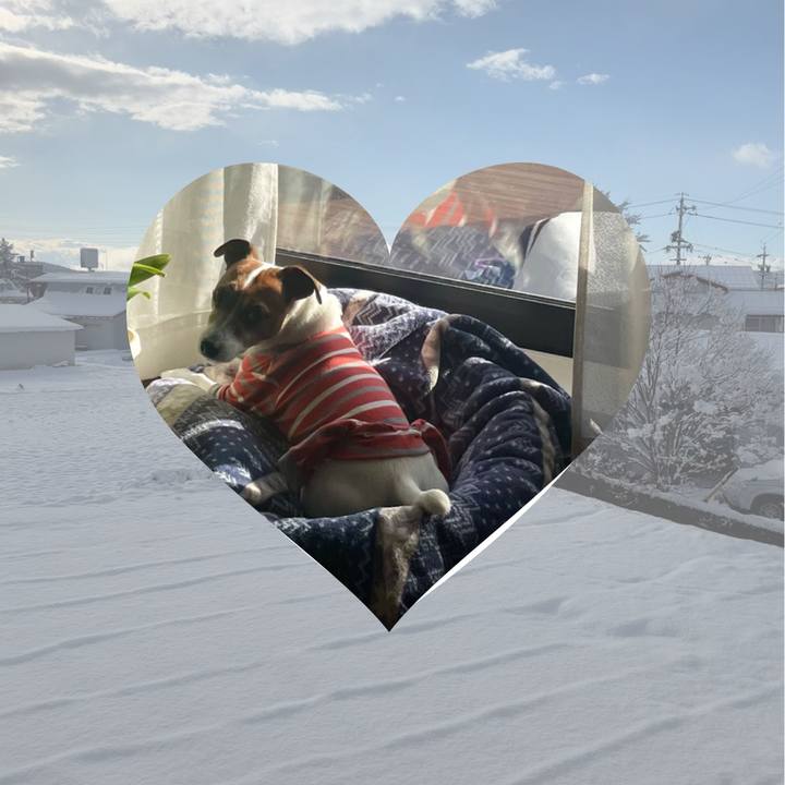 5a440df2 0379 4cb9 9d61 008dd0f223da 1763523706895