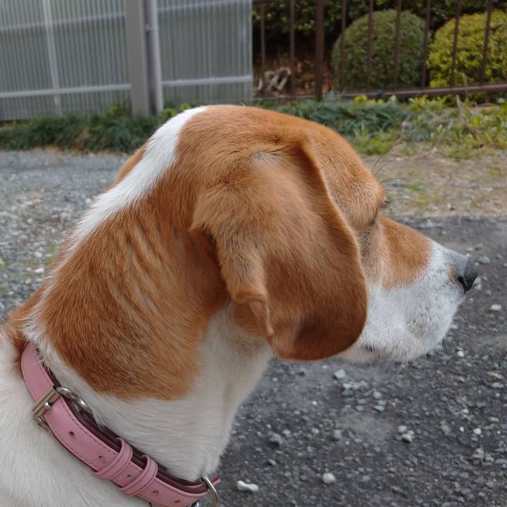 5a441292 d052 4590 a23a 28c46c98fe11 1583651983637