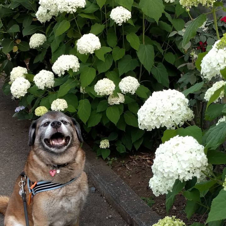 5a444423 9a35 4372 8d78 ac299cc141e9 1749690778277