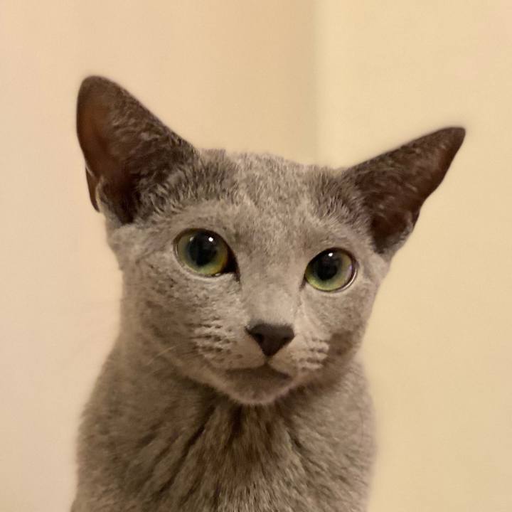 5a44ca4f d69a 4abb ae64 210d6c289c6c 1604322872117