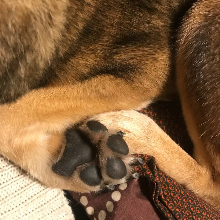 5a44ef1b 49f8 4129 93c8 9792d065c0b2 1513480123798