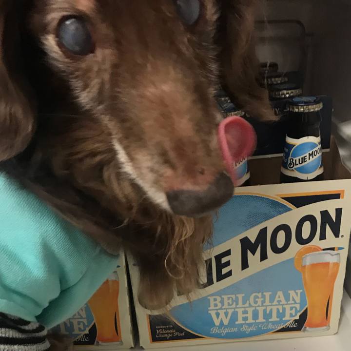 5a450b63 1da1 46ed b247 8f08072bcf46 1547779192047