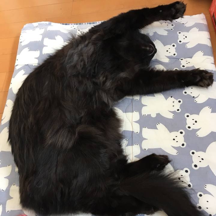 5a45748a f8f7 4f8f a282 810c07f122b5 1519785938209