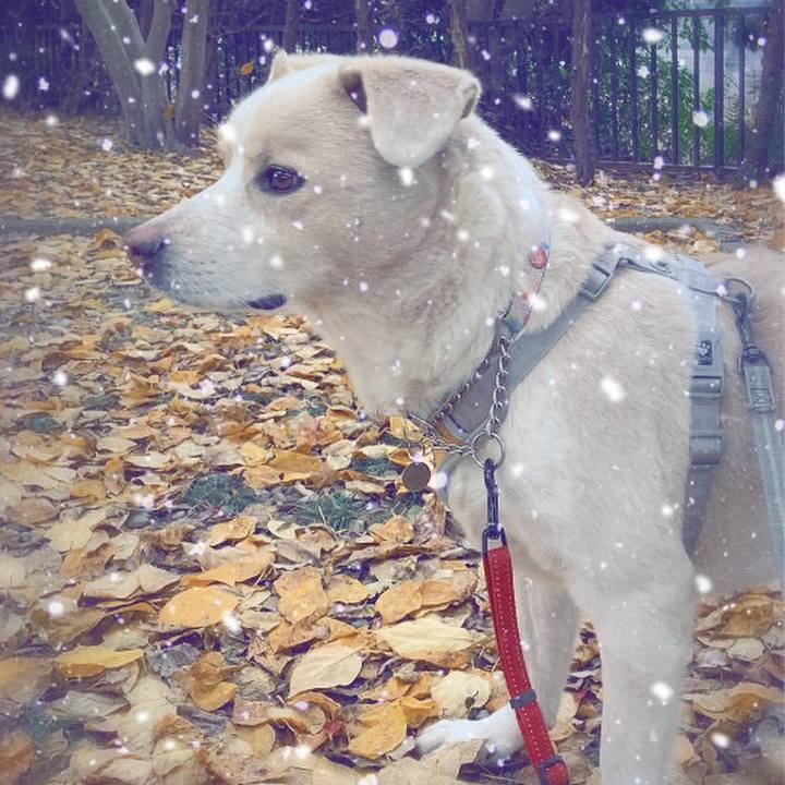 5a459aec ac32 4da6 ad83 c4d4f3c1c97f 1577159901091