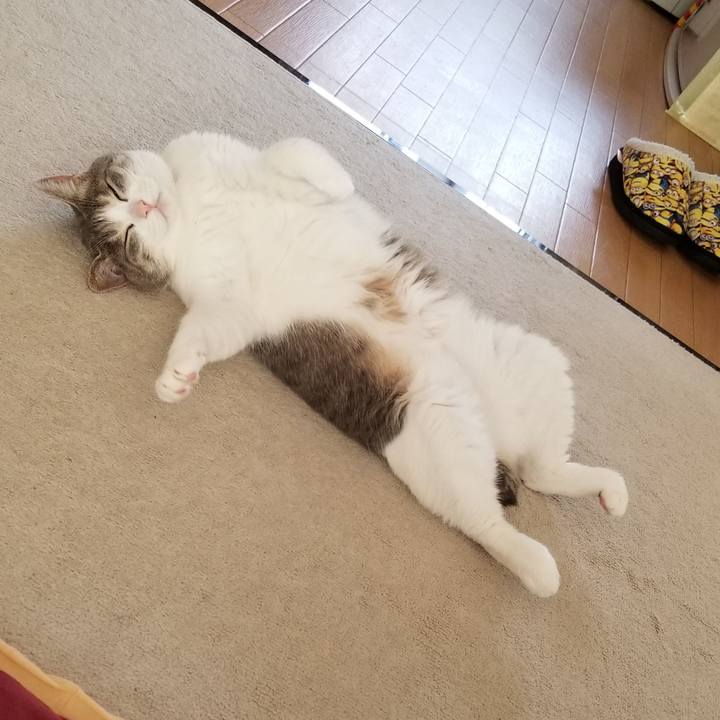 5a45bc0e 92cd 4cb3 b24d 4d60338cbd2e 1587389868219