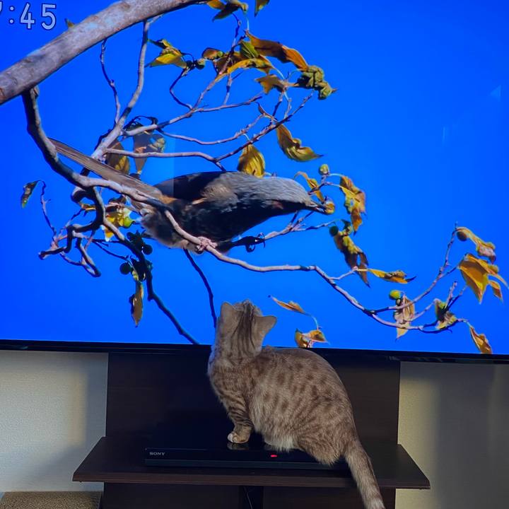 5a45c1f6 b8bc 4013 bd6f f3105d0e751f 1640472467978