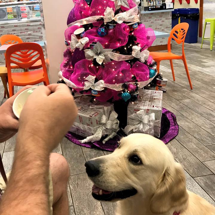 5a45cbad 3f86 4292 93c4 d4f4d4829817 1511605352584