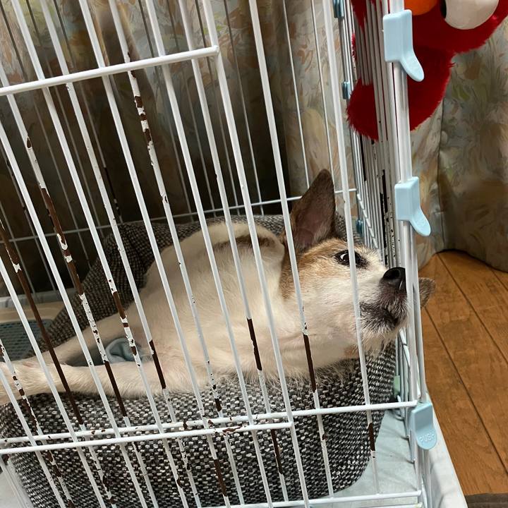 5a45d003 3bd4 407e 820e 355d5371f087 1722986487148