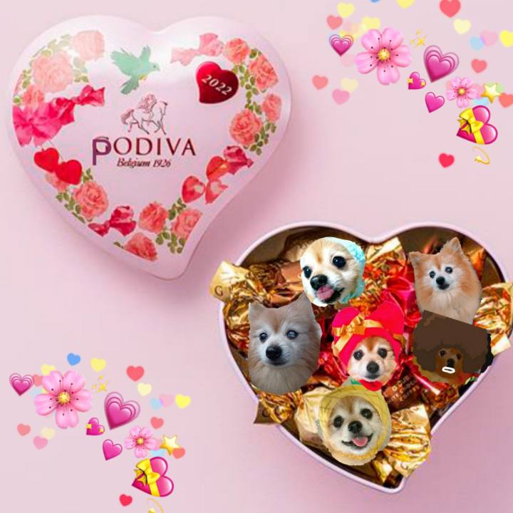 5a45e529 b6cf 48f3 a30c ddfff52d9d5b 1644790001323