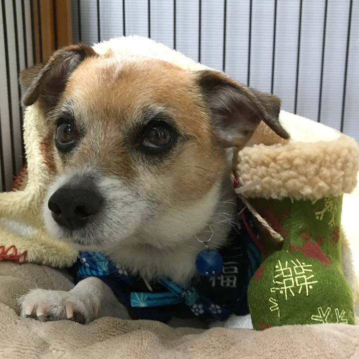 5a45fb96 dcc8 44fd 9faf 6dc0ba24c080 1577200222080