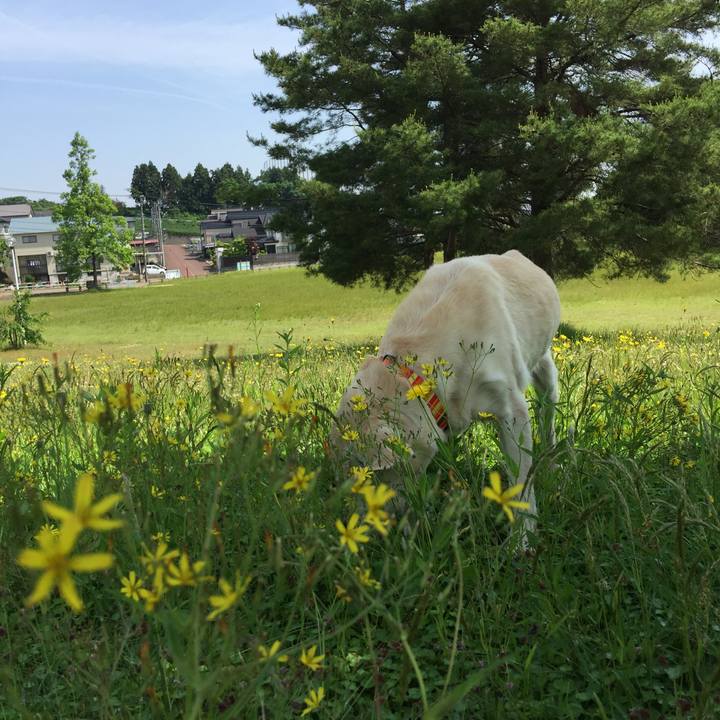 5a46323b 0666 4b7f 97eb 4a862d018d37 1527558607891