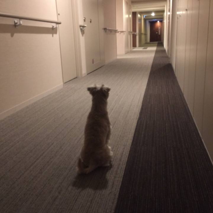 5a463d04 3945 4d29 a871 5fe2ee130060 1549019726746