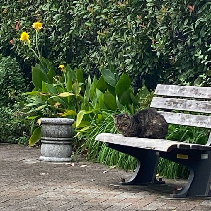 5a464309 9341 43d6 a7af 7bec3db87d41 1666517486042