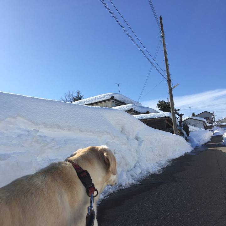 5a466322 b75b 46f4 83ac a663b75684ce 1518589186522