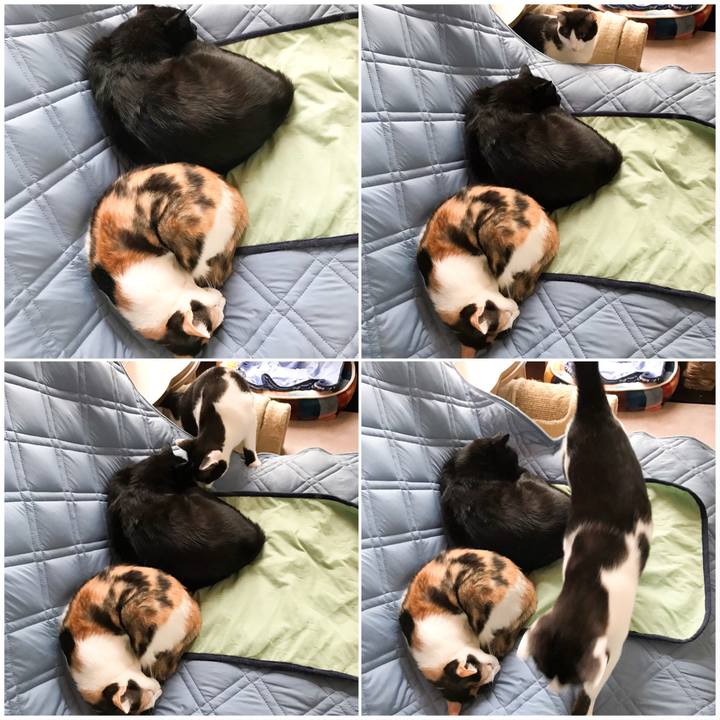 5a468692 6554 4f09 a5c4 273b6727ddad 1530064656620