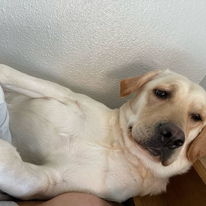 5a46cc13 45d6 46e2 87de 882ec895dbb5 1666742458139