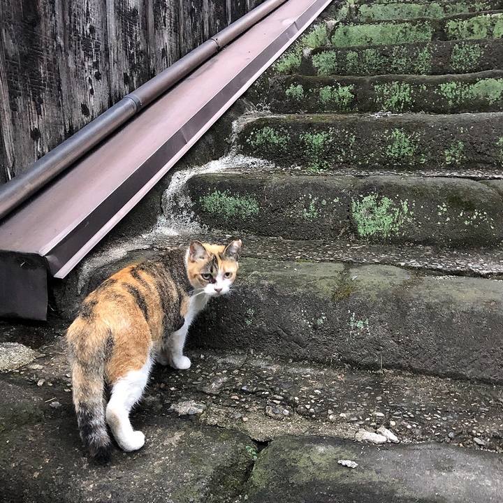 5a46e44b b3c7 4ea4 8ab4 59a9178c90bb 1662196890571