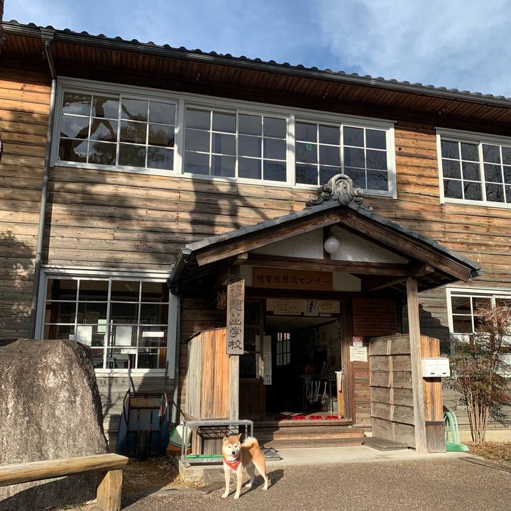 5a46ec03 f35b 4c8d a6a8 1b6a4bf22a7a 1610181339830