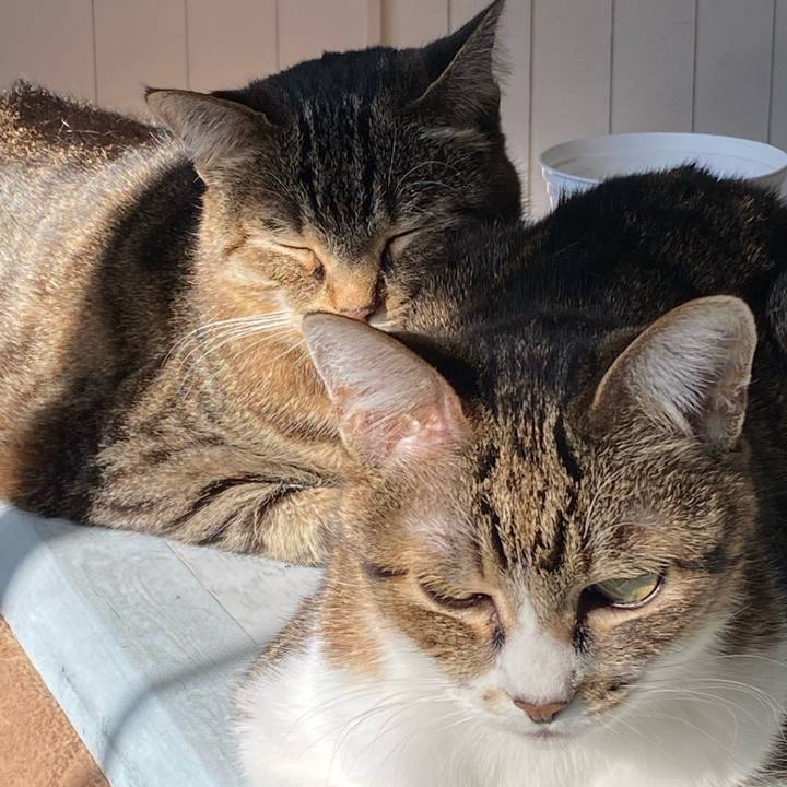 5a46f390 ed18 4bb7 b14f 1db60eb51984 1641345049023